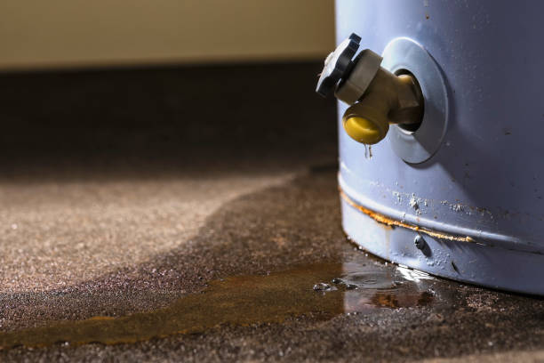 Best Sewage cleanup and water damage restoration  in Sto Brook University, NY