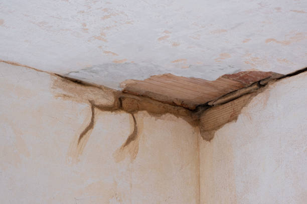 Best Mold removal after water damage  in Sto Brook University, NY