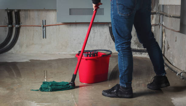 Best Carpet water damage restoration  in Sto Brook University, NY