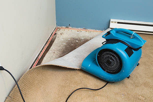 Best Emergency water damage restoration  in Sto Brook University, NY
